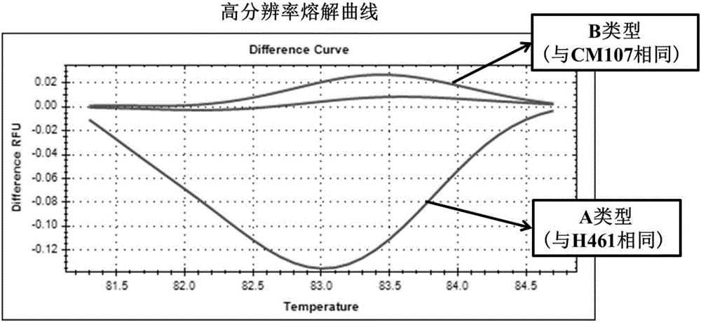 与小麦旗叶长QTL QFll.sicau‑4D紧密连锁