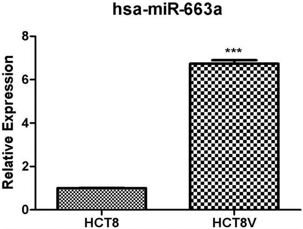 與長春新堿耐藥性相關(guān)的microRNA分子miR?663a及其應(yīng)用的制作方法與工藝