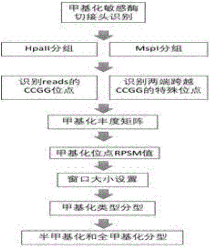 一种胞嘧啶甲基化挖掘的方法与流程