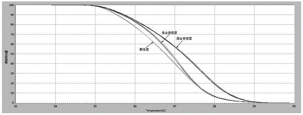 用于檢測(cè)GATA4基因SNP位點(diǎn)rs867858基因型的試劑盒的制作方法與工藝