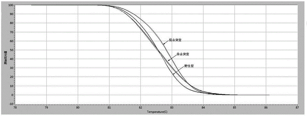 用于檢測(cè)JAG2基因SNP位點(diǎn)rs2238286基因型的試劑盒的制作方法與工藝