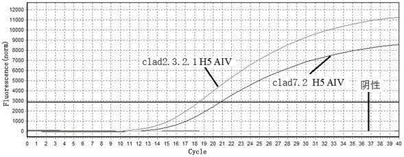 区分clade 2．3．2．1和clade 7．2 H5 AIV的实时荧光定量PCR引物的制作方法与工艺
