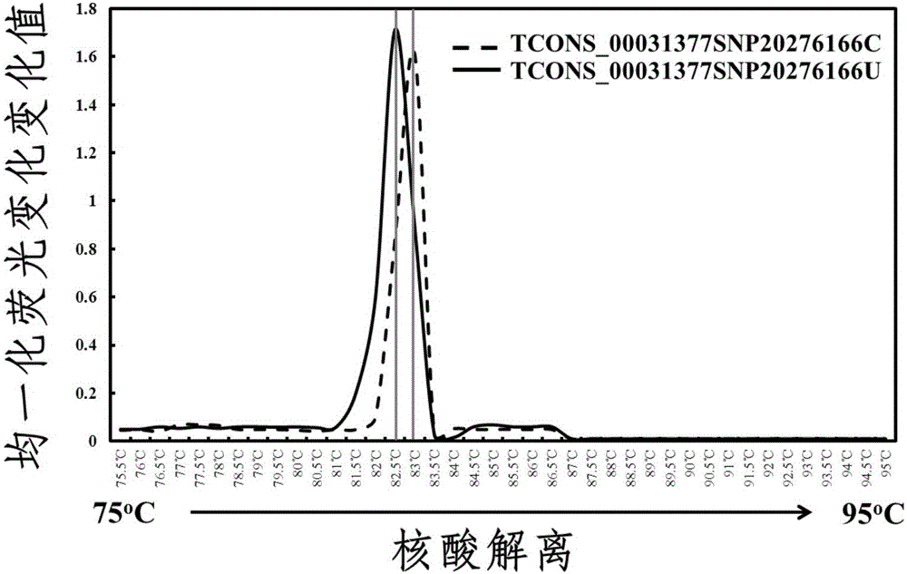 一种高分辨率核酸结合/熔解荧光的检测方法与流程