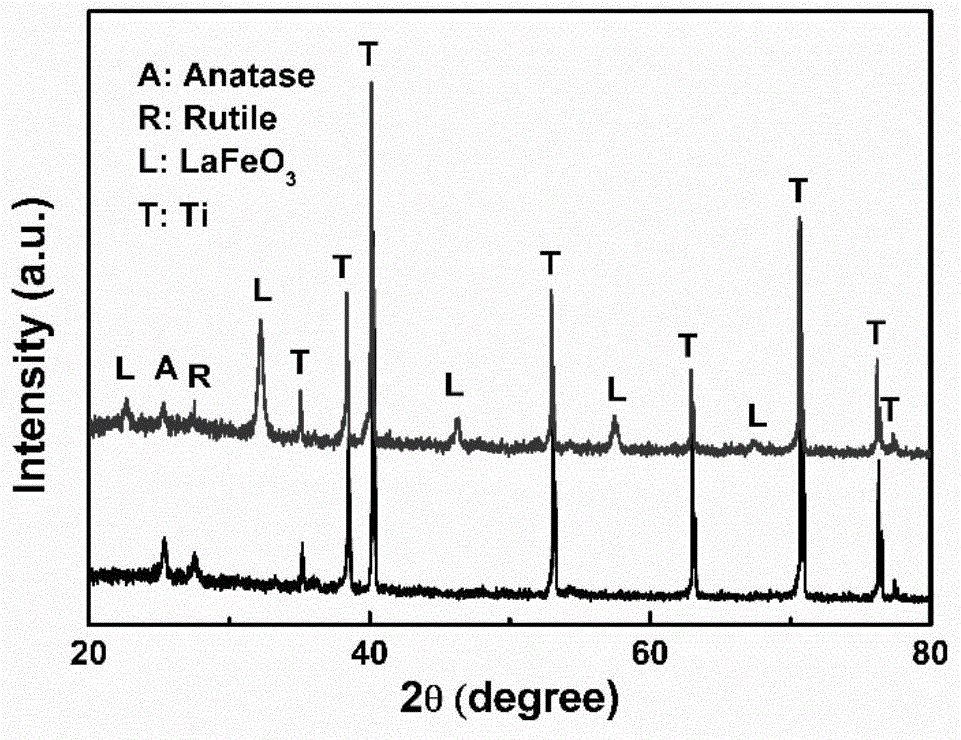 铁酸镧纳米颗粒修饰的二氧化钛纳米管阵列的制备方法与流程