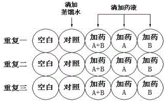 二元聯(lián)合作用藻紅外測(cè)試的參照濃度分析方法與流程