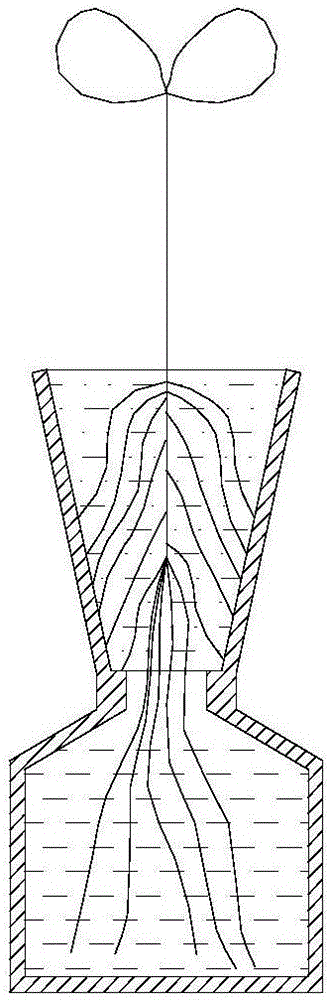 一种用于作物穴盘苗CT扫描根系三维重构成像的育苗方法与流程