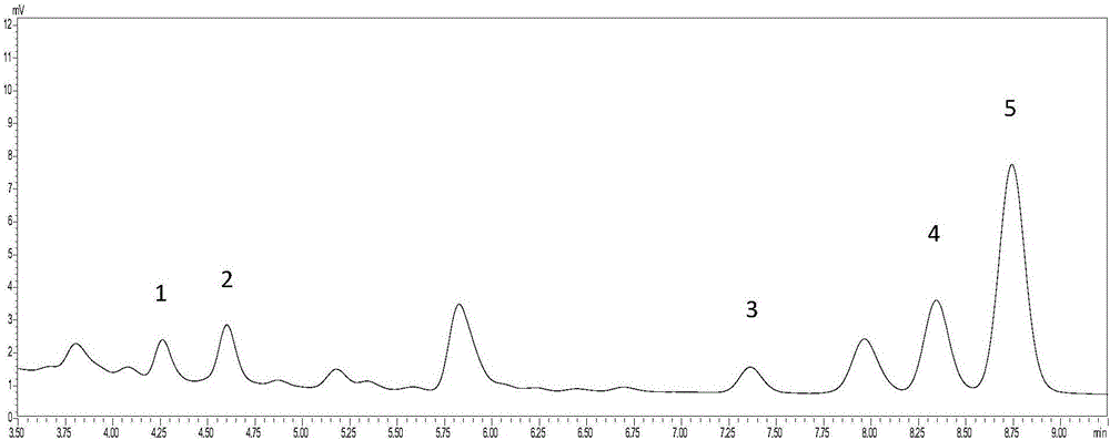 利用UFLC法同时检测山茱萸中5种三萜酸成分的方法与流程