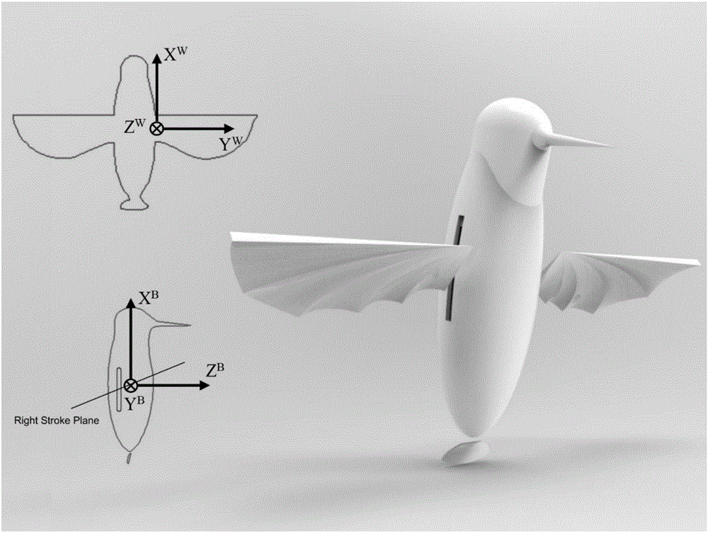 一种针对仿生扑翼飞行机器人的控制方法与流程