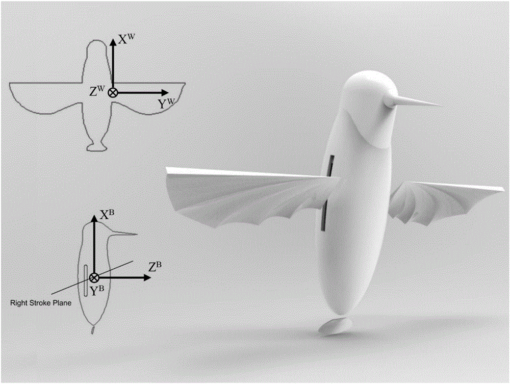 一種針對(duì)仿生撲翼飛行機(jī)器人的控制方法與流程