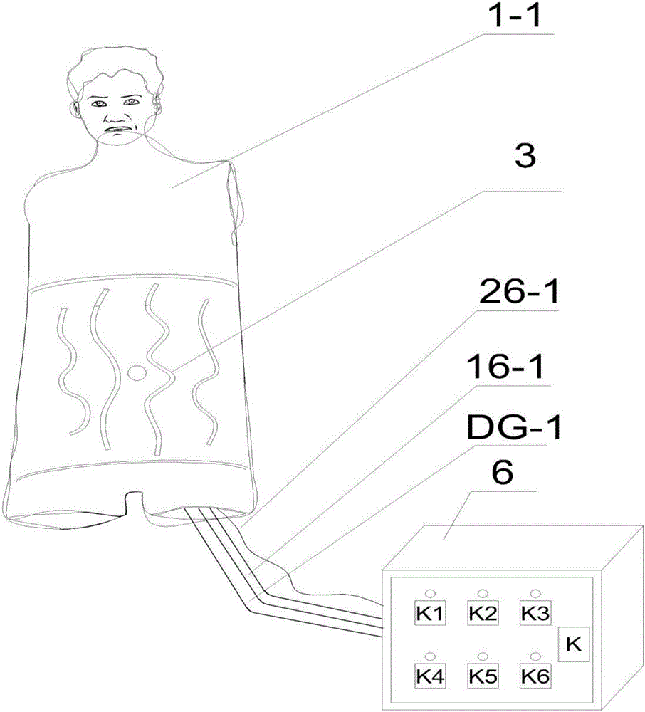 全自動(dòng)腹壁靜脈血流方向檢查標(biāo)準(zhǔn)化病人的制作方法與工藝