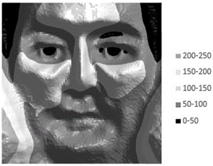 基于加权强度PCNN模型的分块人脸识别方法与流程
