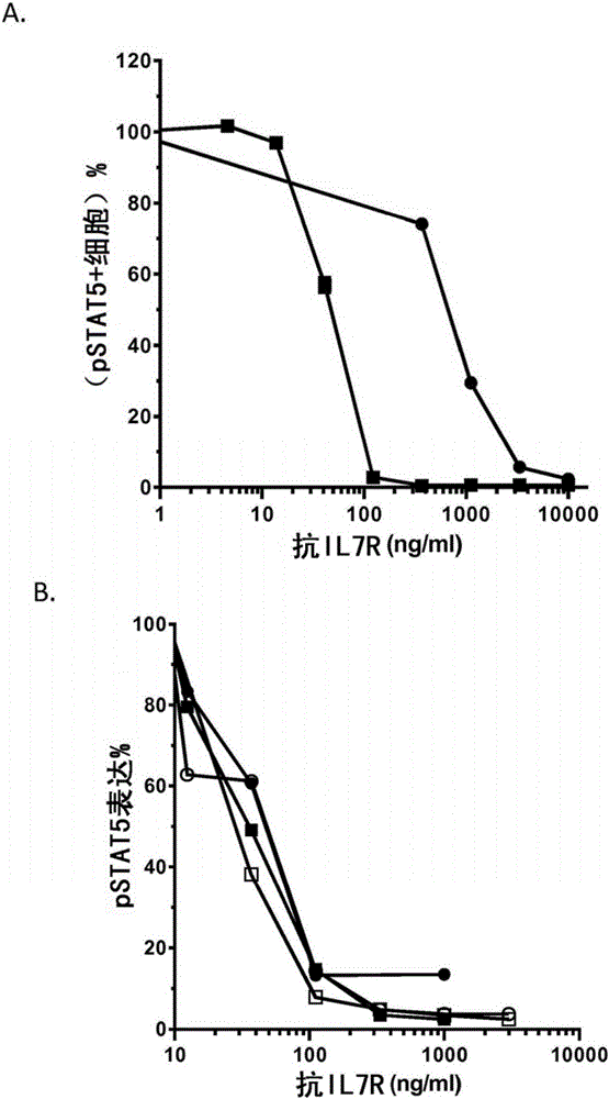 抗CD127的抗体的制作方法与工艺