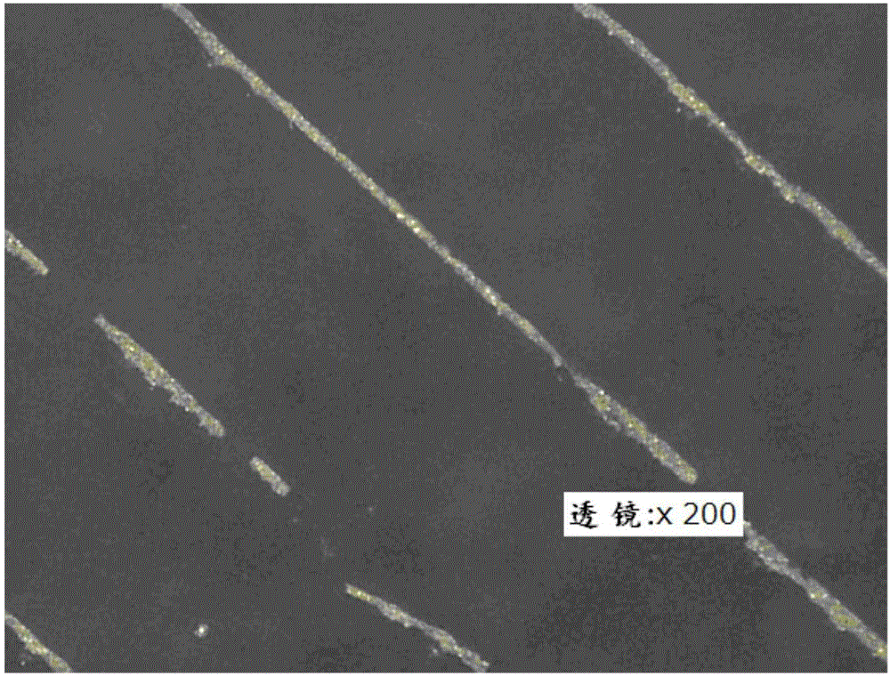 銀粒子涂料組合物的制作方法與工藝