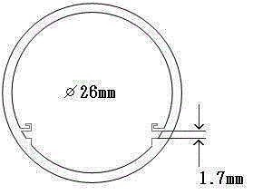 一種無(wú)驅(qū)動(dòng)電源LED燈的制作方法與工藝