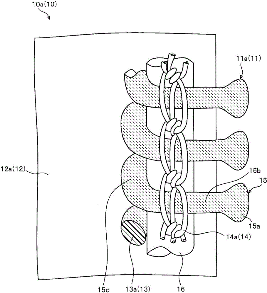 拉鏈及拉鏈的制造方法與流程