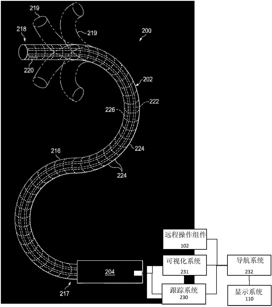 用于術(shù)中分割的系統(tǒng)和方法與流程