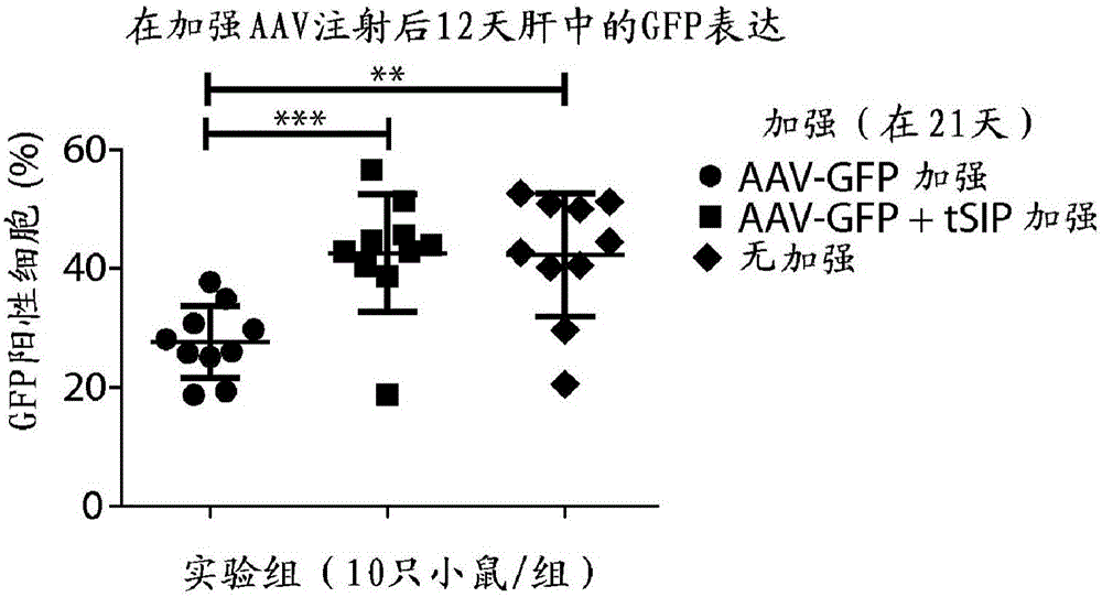 用于減弱基因表達調(diào)節(jié)抗病毒轉(zhuǎn)移載體免疫應(yīng)答的方法和組合物與流程