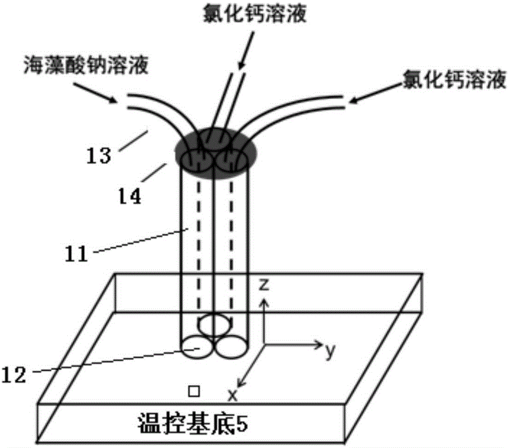 一种基于多通道喷嘴的多组分三维生物打印装置和方法与流程