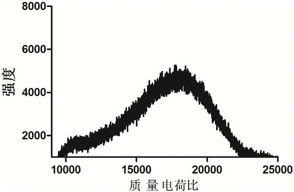 负载紫杉醇的不对称树状大分子纳米载药系统及其制备方法与流程