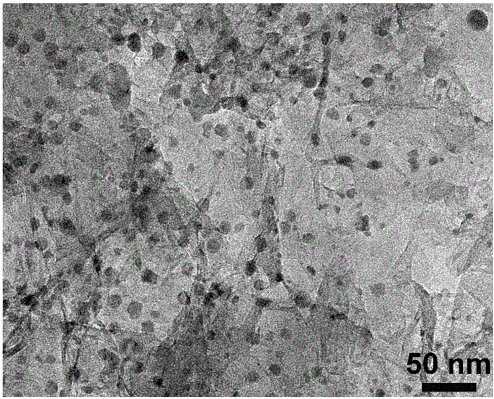 一種負載金屬納米粒子的氮摻雜多孔石墨烯的制備方法與流程