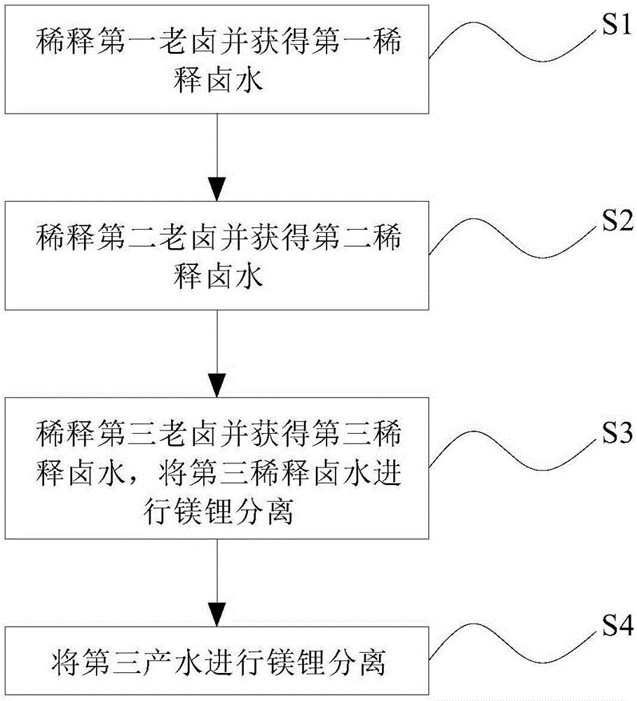 一种降低老卤中镁锂比的装置及方法与流程