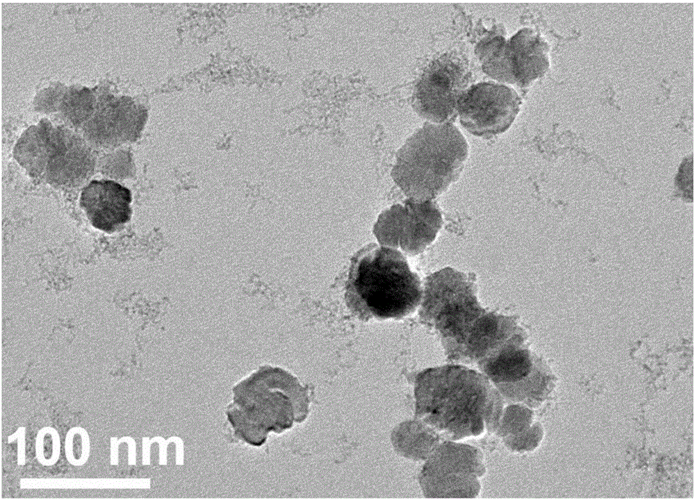 一種鐵錫氧化物納米材料及其制備方法、應(yīng)用與流程