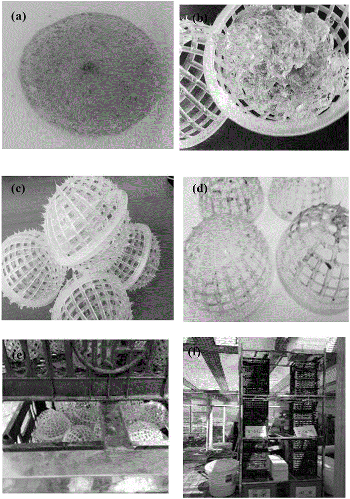 具体涉及一种含fe0高分子生物膜填料及其制备方法与在污水处理中的