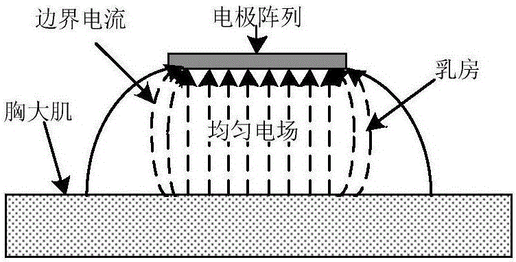 一種應用于乳腺癌的大平板聚流阻抗測量裝置及方法與流程