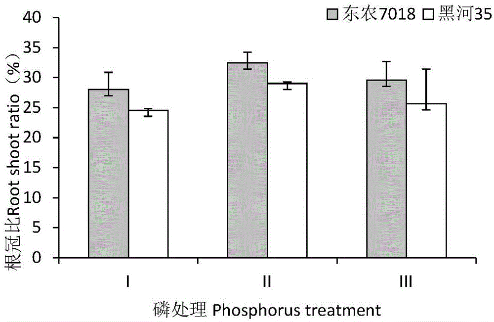 一种提高大豆对磷源利用率的混合物及应用的制作方法与工艺