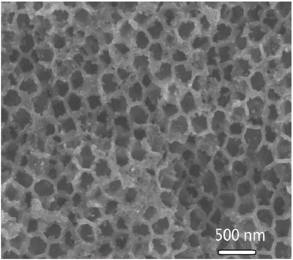 三维大孔结构二氧化钼负载氧化钴颗粒材料的合成方法与流程