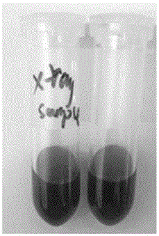 生物氧化錳生成微藻及微藻—生物氧化錳體系及其在雙酚A降解中的應(yīng)用的制作方法與工藝