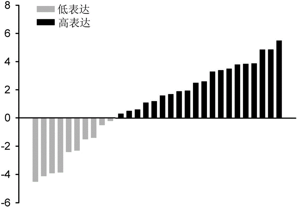 用于敲低与膀胱癌相关的基因的核苷酸序列及含该序列的试剂盒和药物的制作方法与工艺