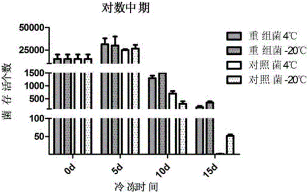 一種提高乳酸菌耐脅迫能力的GAD基因及其應(yīng)用的制作方法與工藝