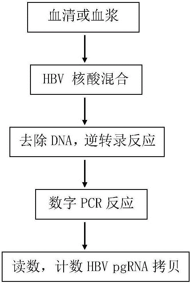 一種組合物、其應(yīng)用以及含有該組合物的試劑盒的制作方法與工藝