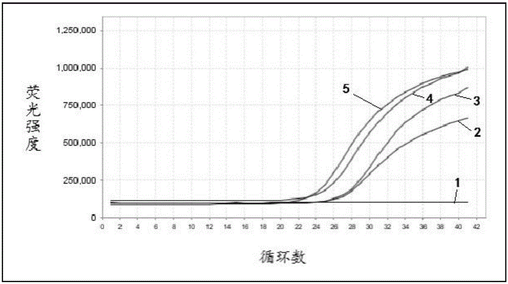 NDRG4基因甲基化检测用试剂体系和试剂盒及其应用的制作方法与工艺