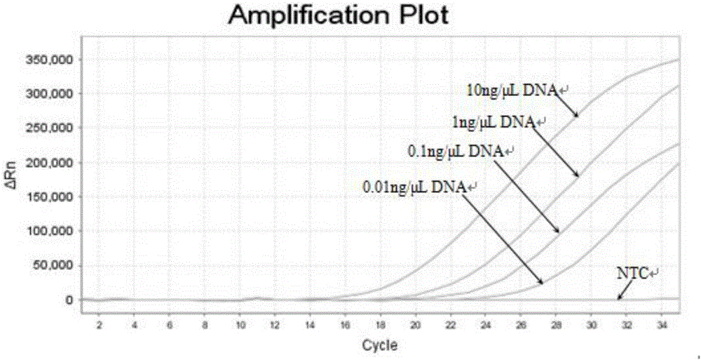 用于检测HLA‑B27基因的检测试剂盒和方法与流程