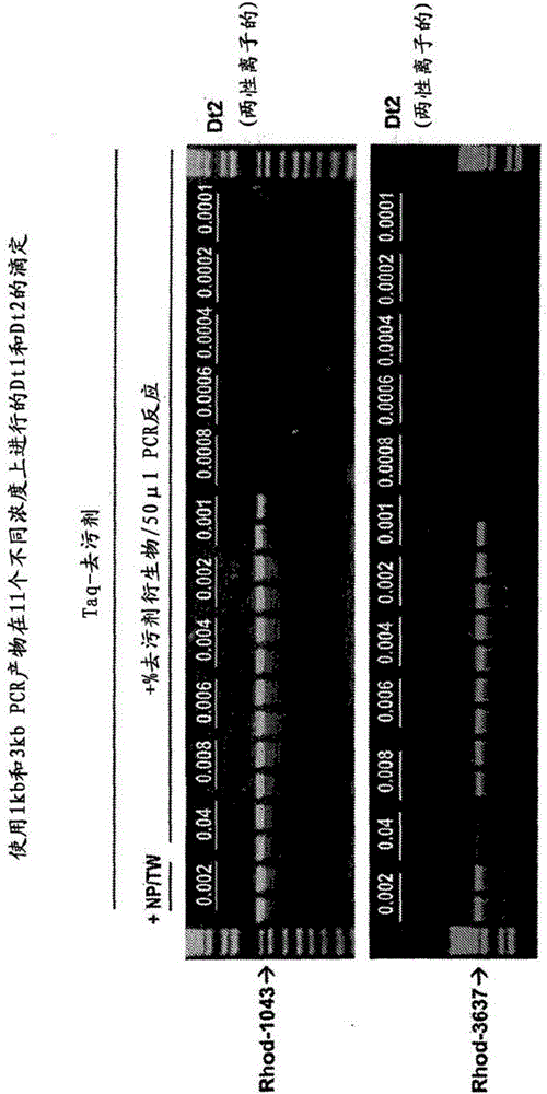 用于PCR系统的新型去污剂的设计和开发的制作方法与工艺