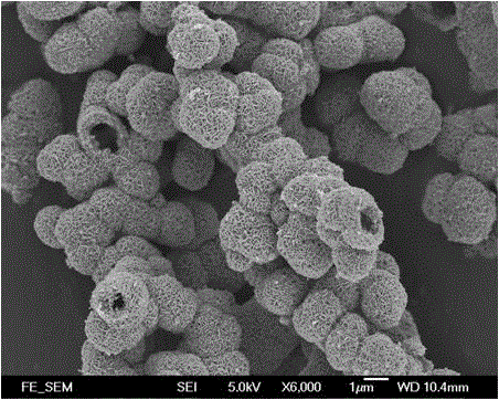 一种氟氧化钛铋层状化合物分级结构多孔空心球的制备方法与流程
