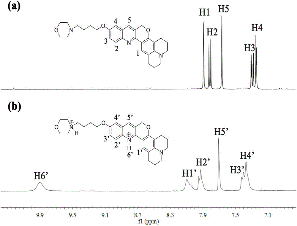 一种新型溶酶体内pH比率荧光探针的制备与应用的制作方法与工艺