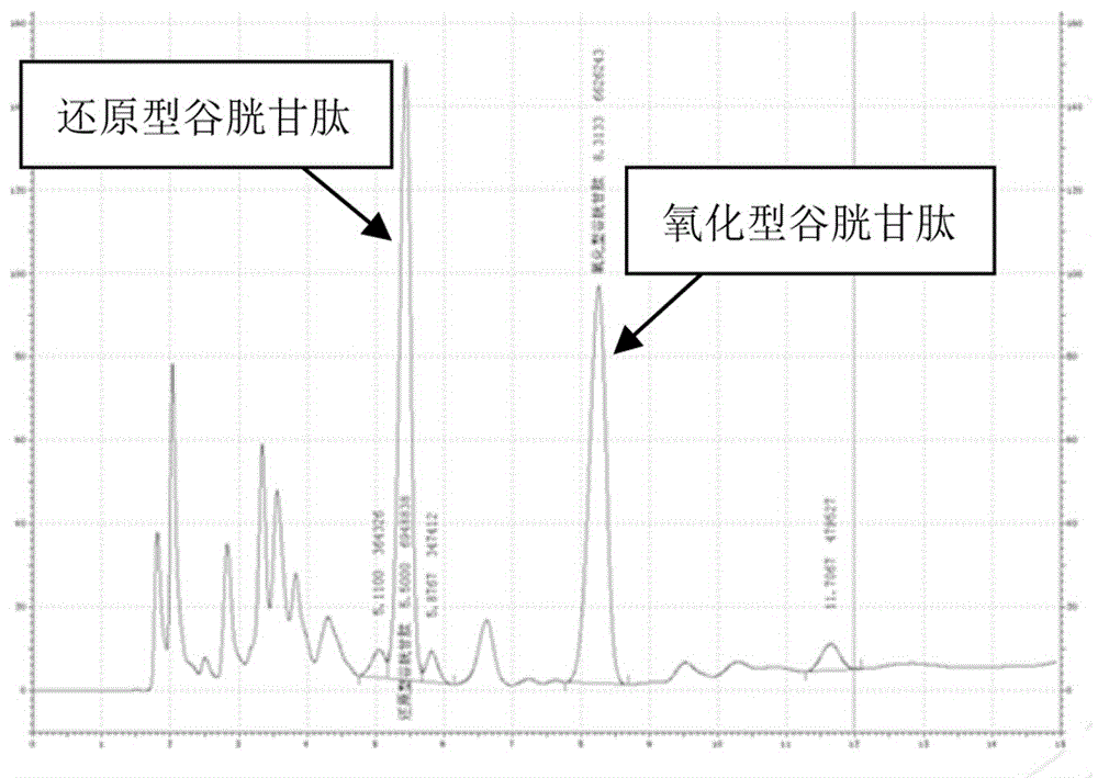 一種從酵母細(xì)胞中制備還原型谷胱甘肽的方法與流程