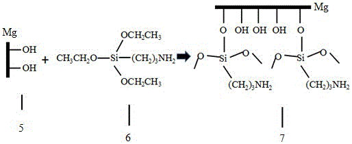 一种用于镁合金与丝素蛋白之间连接的方法与流程