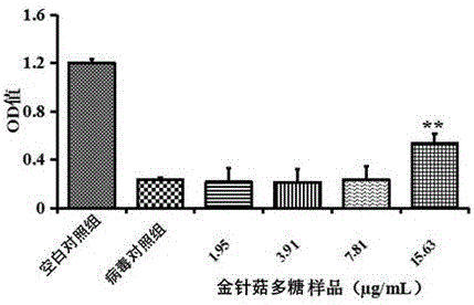 一種金針菇多糖及其制備方法與流程