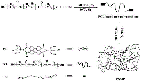 利用羟基化苝酰亚胺制备形状记忆聚氨酯的方法与流程