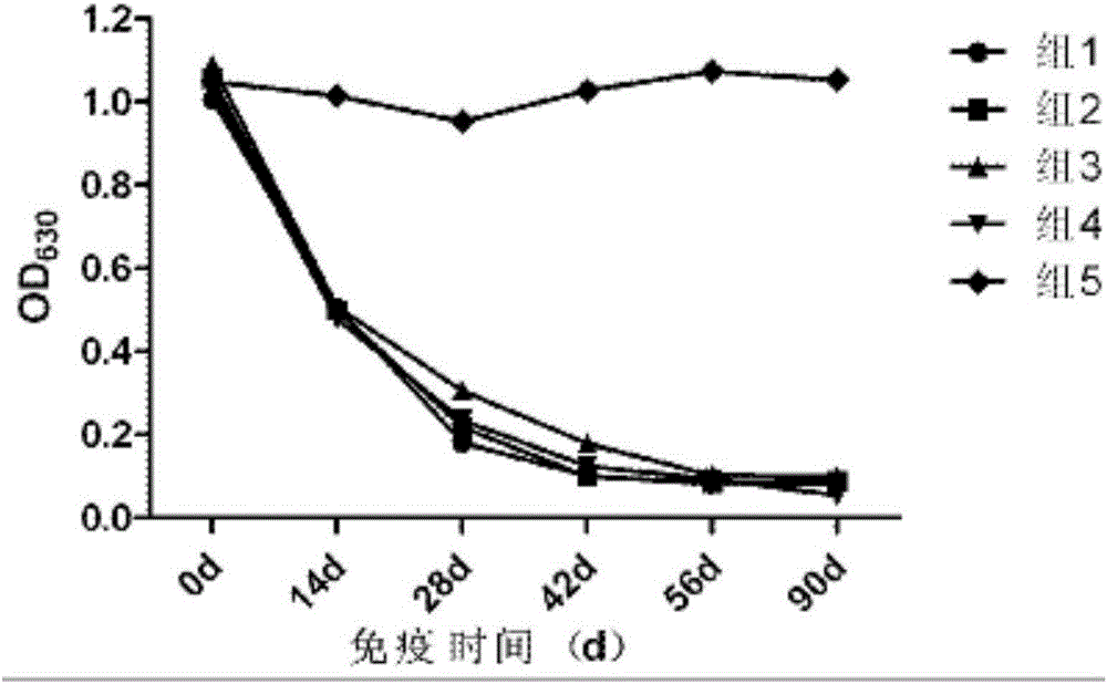 一種豬偽狂犬病病毒變異株XF?1株及制備方法和應(yīng)用與流程