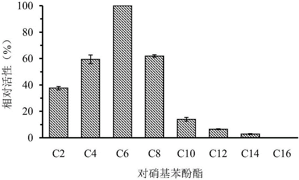 一種深海來源的重組羧酸酯酶DMWf18?558及其編碼基因與應(yīng)用的制作方法與工藝