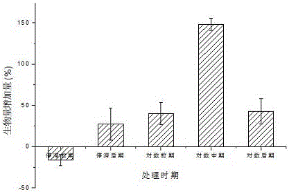 一種掃頻超聲處理對數(shù)中期熱帶假絲酵母促進增殖的方法與流程