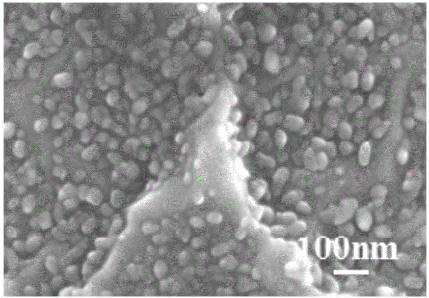 一种基于盐蚀的在钛基种植体表面原位构建多级纳米拓扑结构的方法与流程