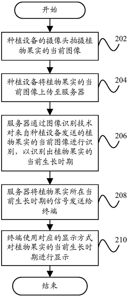 果实生长时期的检测方法和检测装置与流程