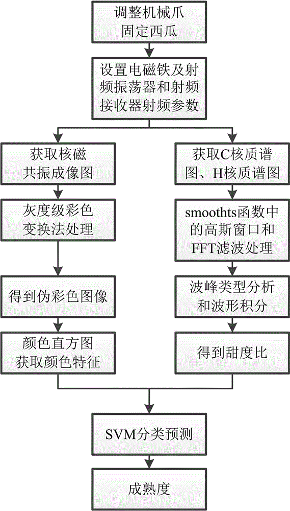 一種西瓜成熟度檢測裝置及方法與流程