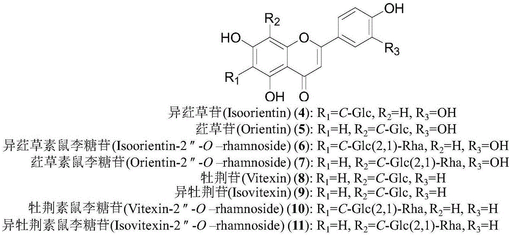 一種檢測三葉青葉中多種化學成分的RRLC?Q?TOF?MS方法與流程